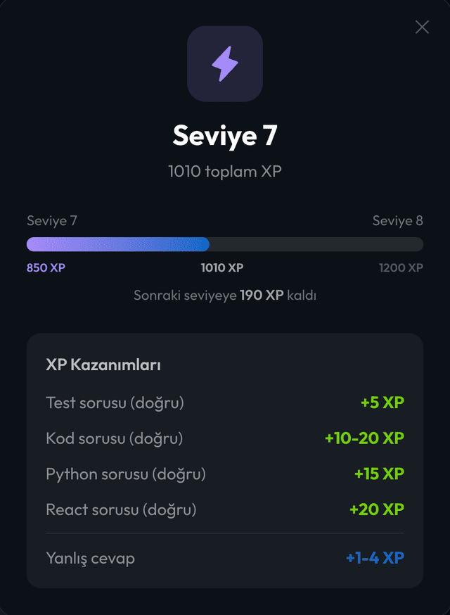 Seviye sistemi